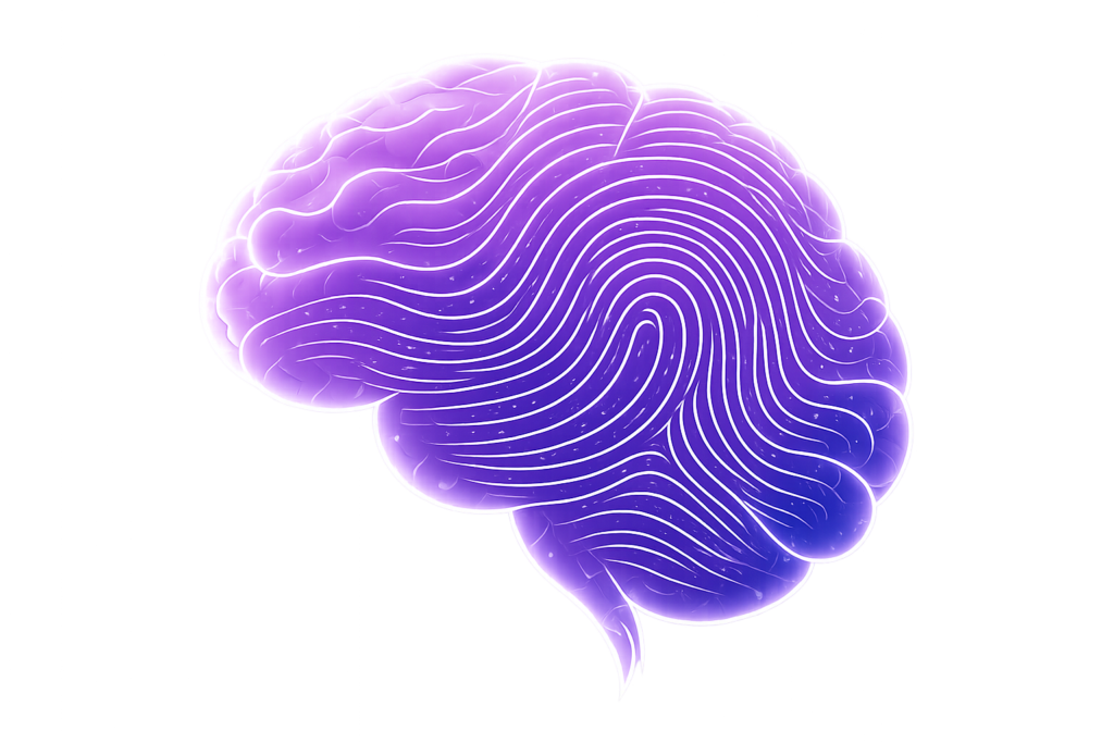 brain blueprint