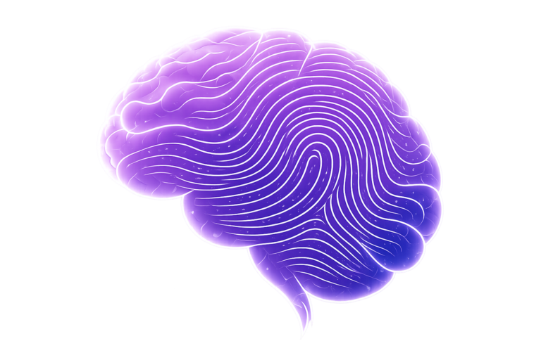brain blueprint