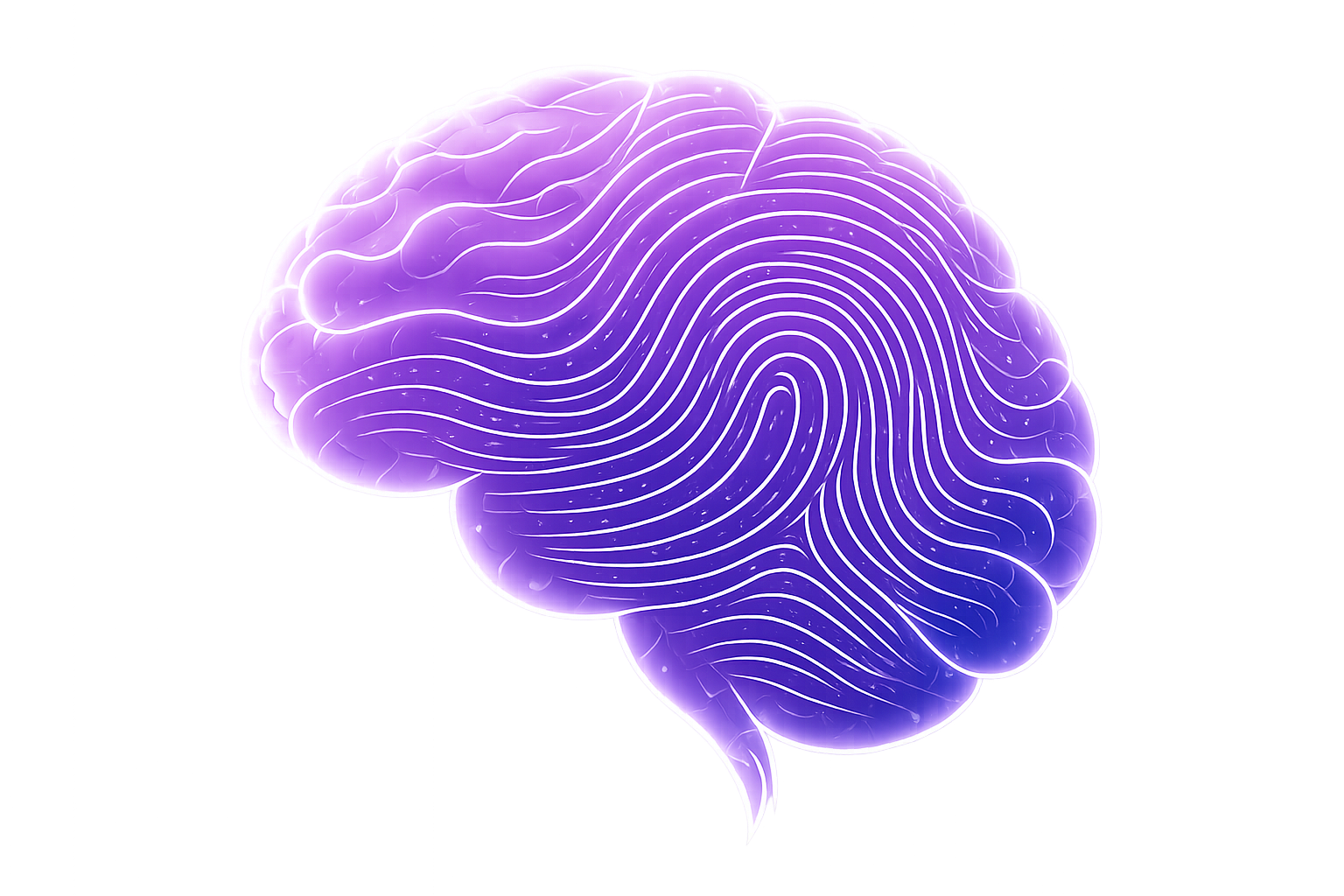 brain blueprint